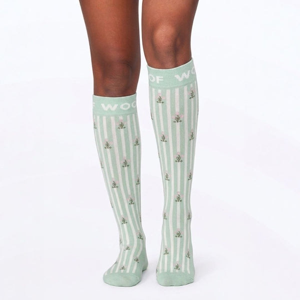 //th.drwoofapparel.com/cdn/shopifycloud/storefront/assets/no-image-2048-a2addb12_grande.gif